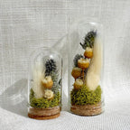 Mini Blue Glass Cloche Terrarium with Real Dried Flowers and Moss, 1.75" & 2.75"
