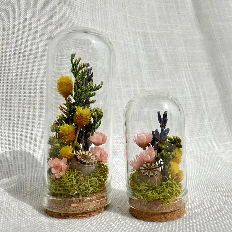 Mini Glass Cloche Terrarium with Real Mosses and Dried Lavender Flowers, 1.75" and 2.75" Tall