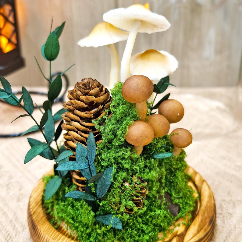 LED Mushroom Lamp Glass Dome Wooden Base Battery or USB Powered 12cm Diameter 17.5cm Height