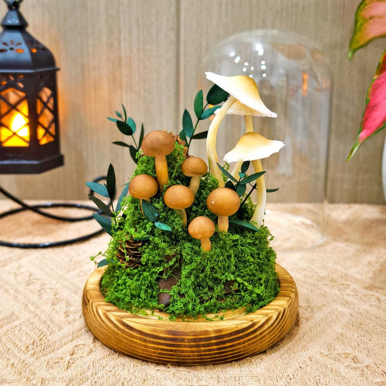 LED Mushroom Lamp Glass Dome Wooden Base Battery or USB Powered 12cm Diameter 17.5cm Height