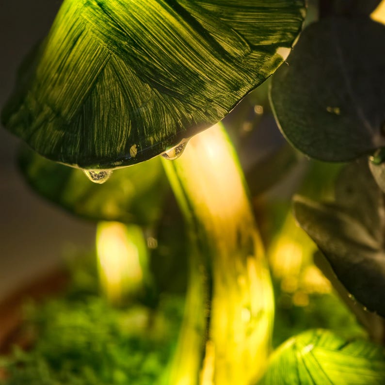 Dark Green Mushroom Night Light with Preserved Moss in Glass Dome, Wooden Base, LED Lamp