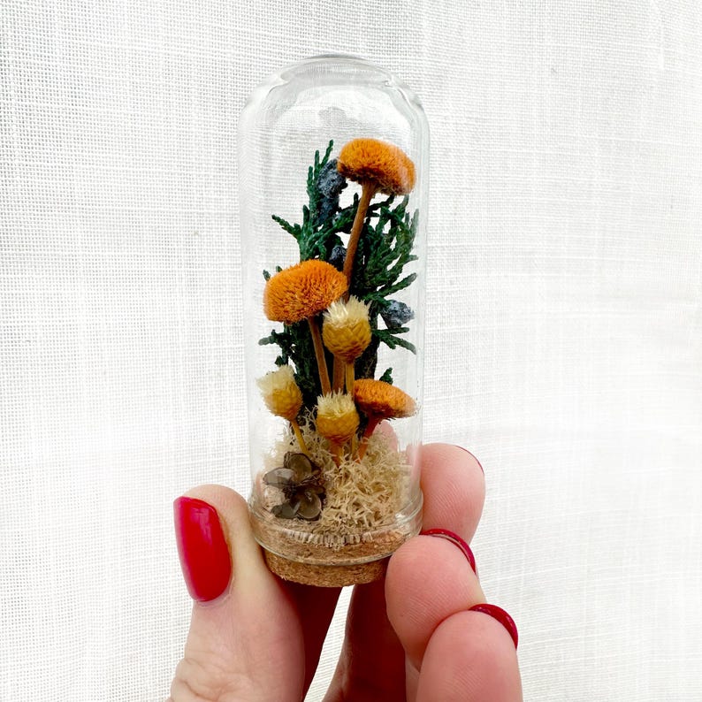 Glass Cloche Terrarium with Real Moss and Orange Dried Flowers, Mini Diorama Jar, 1.75 or 2.75 Inches Tall