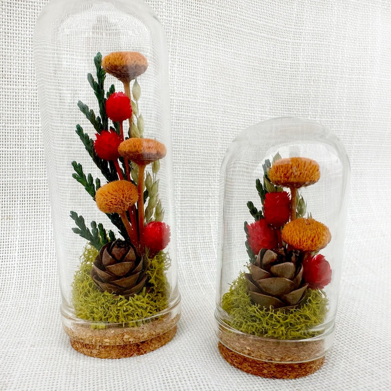 Glass Cloche Terrarium with Real Moss and Orange Dried Flowers, Mini Diorama Jar, 2 Sizes