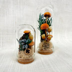 Glass Cloche Terrarium with Real Moss and Orange Dried Flowers, Mini Diorama Jar, 1.75 or 2.75 Inches Tall