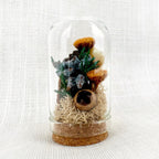 Glass Cloche Terrarium with Real Moss and Orange Dried Flowers, Mini Diorama Jar, 1.75 or 2.75 Inches Tall