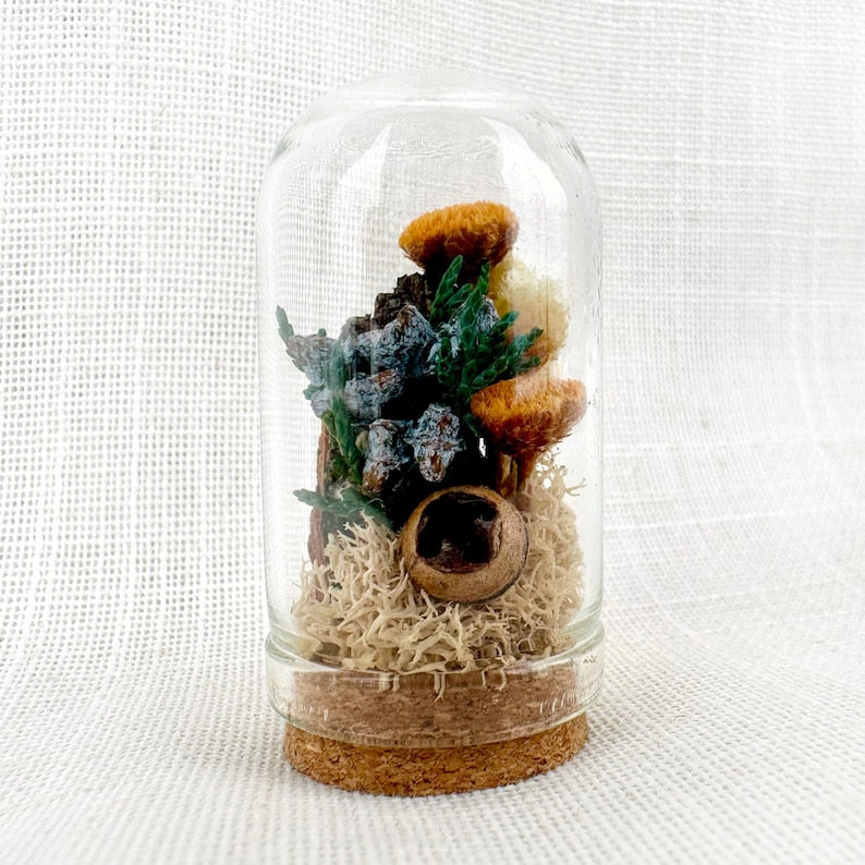 Glass Cloche Terrarium with Real Moss and Orange Dried Flowers, Mini Diorama Jar, 1.75 or 2.75 Inches Tall