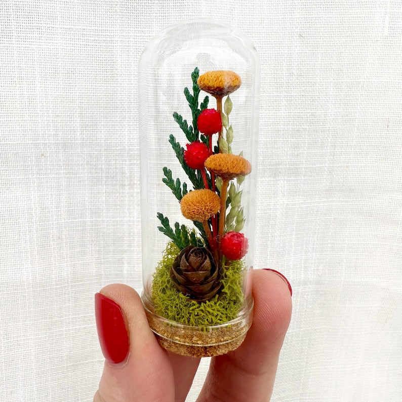 Glass Cloche Terrarium with Real Moss and Orange Dried Flowers, Mini Diorama Jar, 2 Sizes