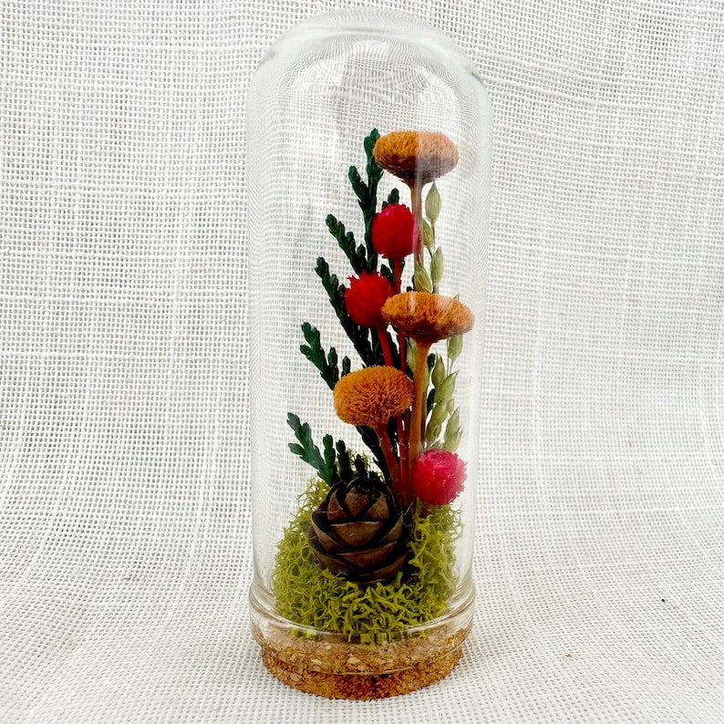 Glass Cloche Terrarium with Real Moss and Orange Dried Flowers, Mini Diorama Jar, 2 Sizes