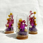 Crystal Terrarium Diorama with Dried Florals, Glass & Cork Jar, Desk Decor, 1.75" and 2.75" Sizes
