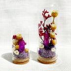 Crystal Terrarium Diorama with Dried Florals, Glass & Cork Jar, Desk Decor, 1.75" and 2.75" Sizes