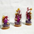 Crystal Terrarium Diorama with Dried Florals, Glass & Cork Jar, Desk Decor, 1.75" and 2.75" Sizes