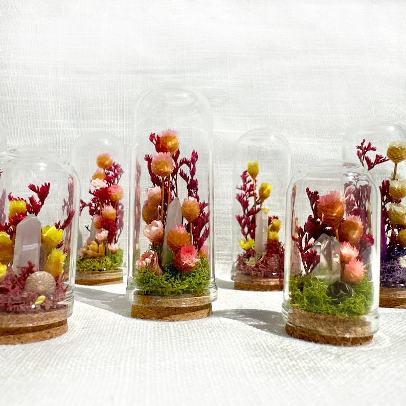 Glass Terrarium Diorama with Dried Florals and Quartz Crystal, Miniature Fairy Garden Desk Decor, 1.75 in and 2.75 in