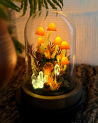 Mushroom Night Light with Glowing Crystals, Glass Dome & Wooden Base, Autumn Fairy Lamp, 4.7x4.7x6.7 in