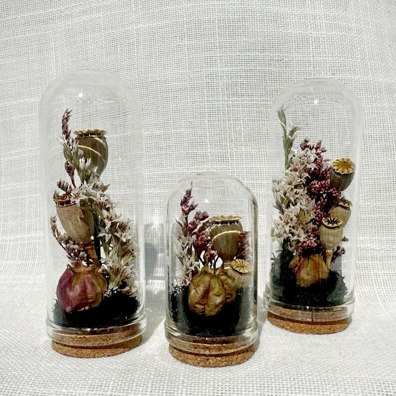 Mini Glass Terrarium with Dried Florals and Moss, Gothic Curio Jar, 1.75" and 2.75" Sizes