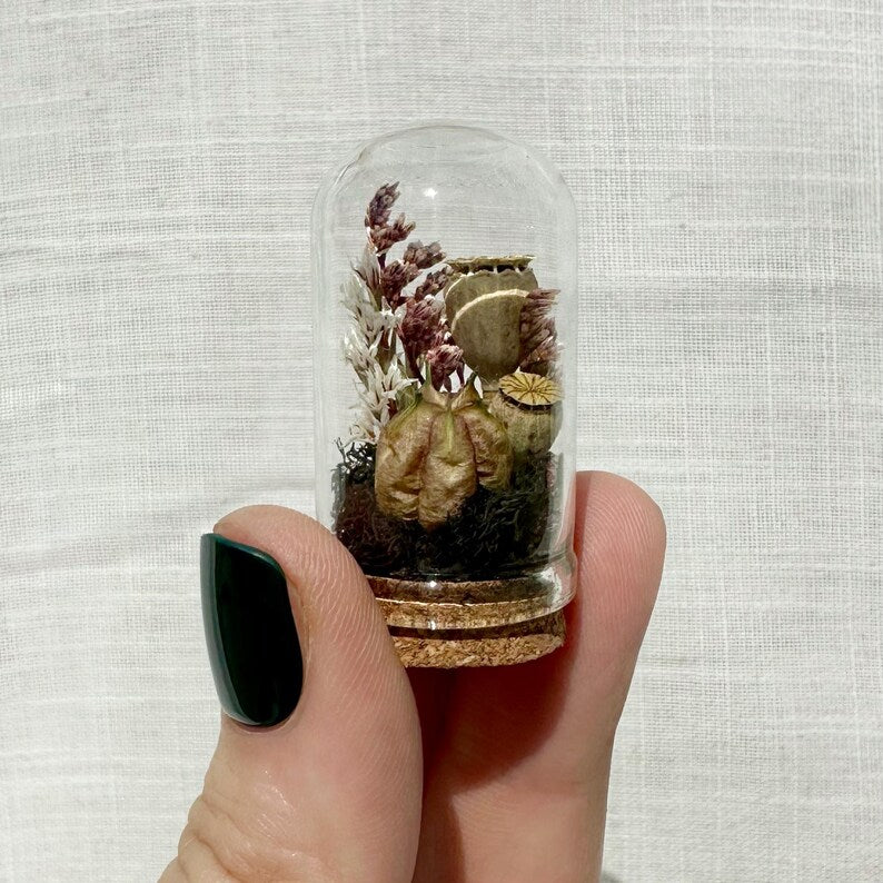 Mini Glass Terrarium with Dried Florals and Moss, Gothic Curio Jar, 1.75" and 2.75" Sizes