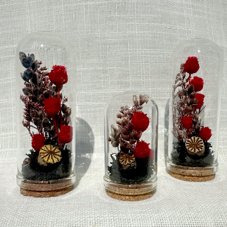 Mini Glass Terrarium with Dried Florals and Moss, Gothic Curio Jar, 1.75" and 2.75" Sizes
