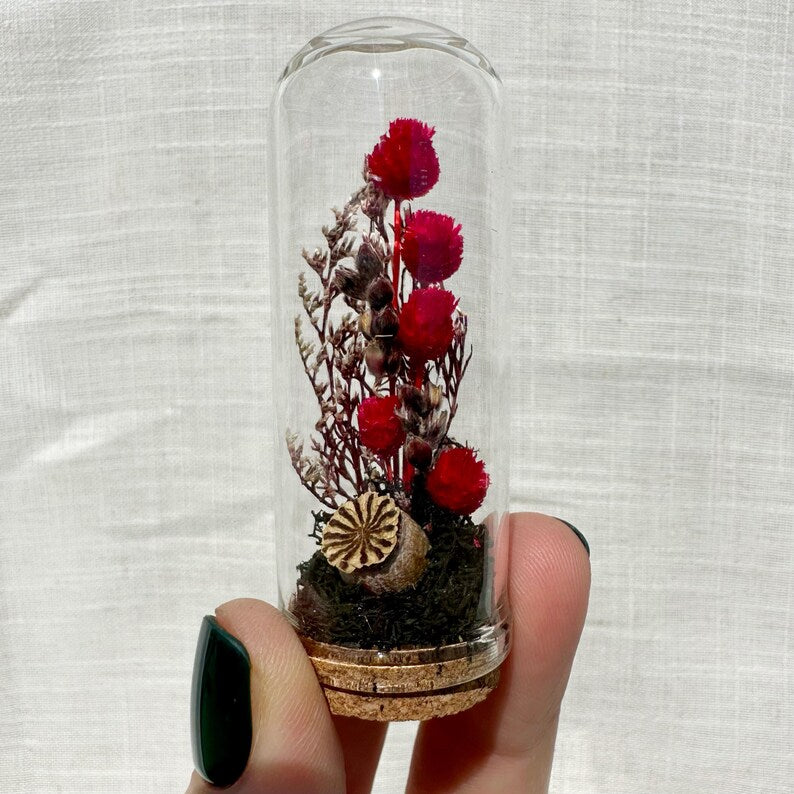 Mini Glass Terrarium with Dried Florals and Moss, Gothic Curio Jar, 1.75" and 2.75" Sizes